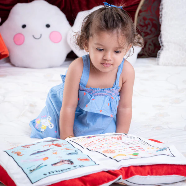 Baby Learning Cushion Pillow Book